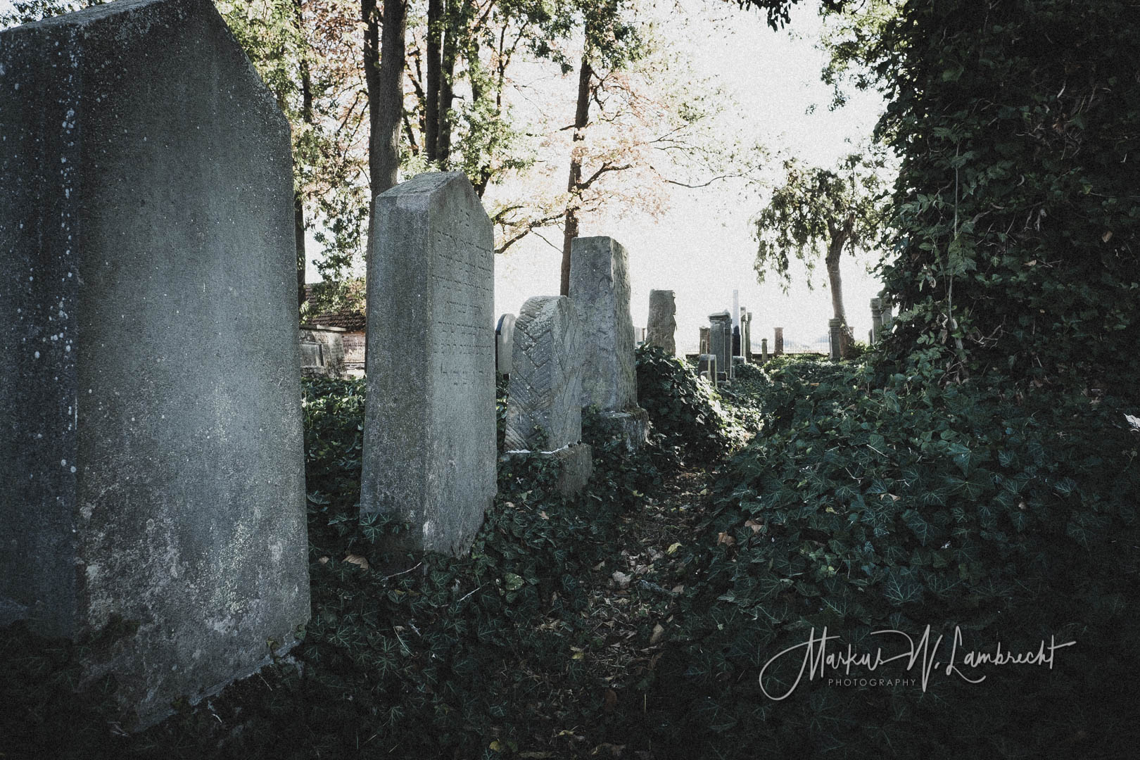 Peckelsheim, Jüdischer Friedhof